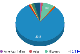 ID All Ethnic Groups Ethnicity Breakdown ID All Ethnic Groups Ethnicity Breakdown