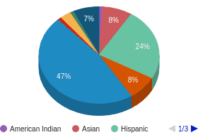 NV All Ethnic Groups Ethnicity Breakdown NV All Ethnic Groups Ethnicity Breakdown