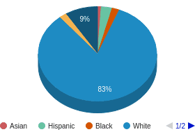 NH All Ethnic Groups Ethnicity Breakdown NH All Ethnic Groups Ethnicity Breakdown