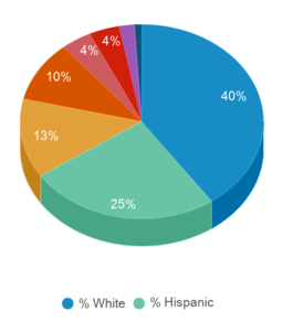 This chart displays the percentage breakdown of students of all ethnic groups in Arizona College of Nursing-Tempe. This chart displays the percentage breakdown of students of all ethnic groups in Arizona College of Nursing-Tempe.