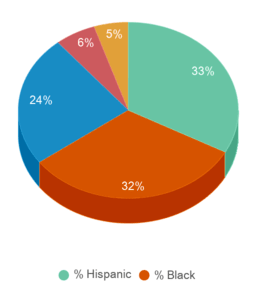 This chart displays the percentage breakdown of students of all ethnic groups in Pinnacle College. This chart displays the percentage breakdown of students of all ethnic groups in Pinnacle College.