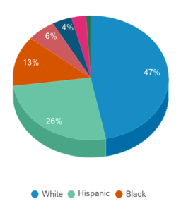 This chart displays the percentage breakdown of students of all ethnic groups in Illinois. This chart displays the percentage breakdown of students of all ethnic groups in Illinois.