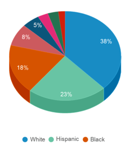 This chart displays the percentage breakdown of students of all ethnic groups in New York. This chart displays the percentage breakdown of students of all ethnic groups in New York.