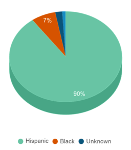 This chart displays the percentage breakdown of students of all ethnic groups in Puerto Rico. This chart displays the percentage breakdown of students of all ethnic groups in Puerto Rico.