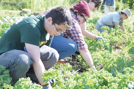 How to Go Organic at Community College How to Go Organic at Community College