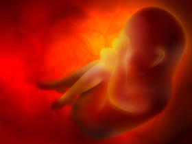 Community College Expelled Nursing Student for Placenta Facebook Picture: The Controversy