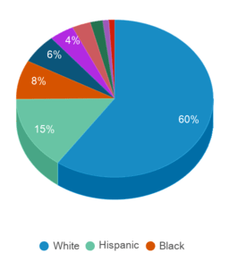 This chart displays the percentage breakdown of students of all ethnic groups in Kansas.