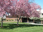 Schoolcraft College Photo - Schoolcraft College Waterman Building