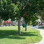Bel-Rea Institute Of Animal Technology Photo #6 - Large lawn with mature trees