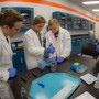 Georgia Highlands College Photo #3 - GHC ranked second in "Top Five Best State Colleges" in Georgia by Schools.com