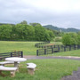 Hiwassee College Photo #3 - Some of the beautiful pastures that make up our Ledford Equestrian Center